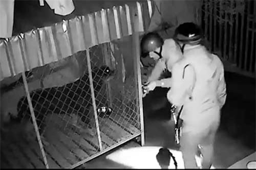 Quảng Bình: Camera an ninh “soi” trộm, người vi phạm giao thông ở làng quê