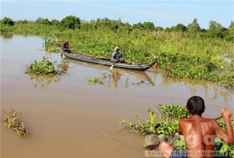 an giang: soi dong cho ran, cho cua dong huyen dau nguon an phu hinh anh 1