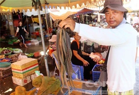 an giang: soi dong cho ran, cho cua dong huyen dau nguon an phu hinh anh 3