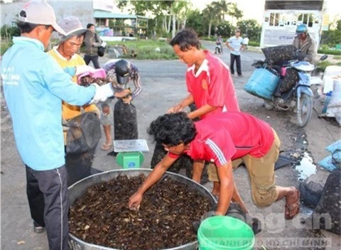 an giang: soi dong cho ran, cho cua dong huyen dau nguon an phu hinh anh 9