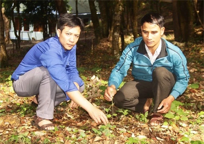 lam giau khac nguoi: uom 