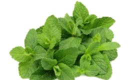 Clip: Thực phẩm 'đốt cháy' mỡ bụng vô cùng hiệu quả