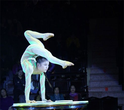 67 nghệ sĩ so tài tại cuộc thi Tài năng diễn viên xiếc toàn quốc 2018