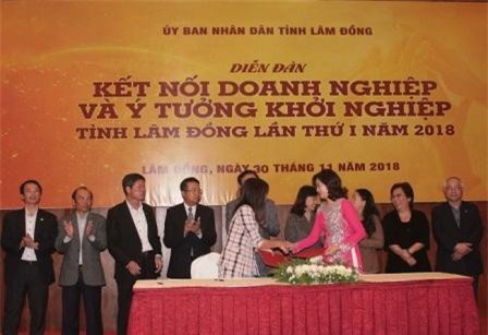 Làm gì để khởi nghiệp Lâm Đồng “cất cánh”?