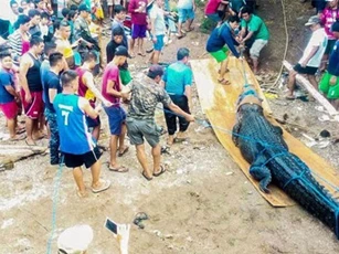 Tóm gọn cá sấu nặng nửa tấn bị nghi ăn thịt người