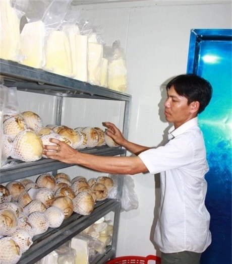 lam giau khac nguoi: nuong dua dua len, gia ban cao lai hut hang hinh anh 1