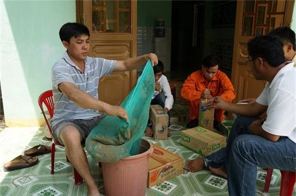 quang nam: nuoi nhung con ky la, moi nam lai rong 2 ty dong hinh anh 6