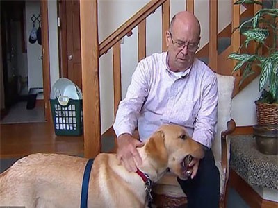 Chó đào được răng voi ma mút có niên đại 13.000 năm tuổi