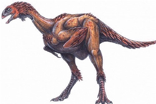 Tìm thấy hoá thạch khủng long nhỏ như “gà tây” mất tích nhờ… internet