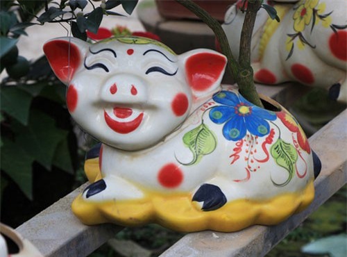 Heo đất “cõng” quất cảnh đón Tết Kỷ Hợi 2019