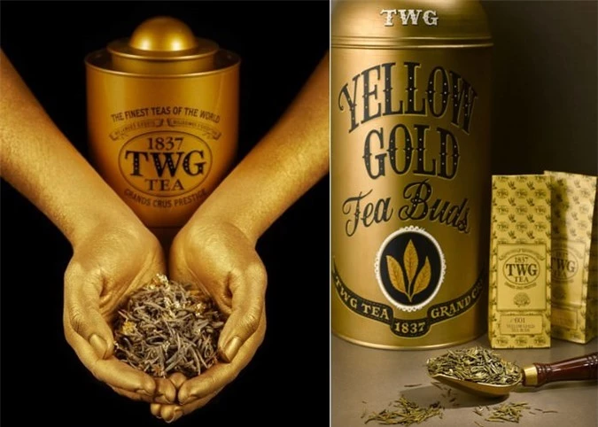 Trà búp vàng (Yellow Gold Tea Buds) là loại trà rất hiếm. Nó chỉ được thu hoạch ở một nơi cụ thể và cũng chỉ là một ngày trong năm. Nơi duy nhất bạn có thể tìm thấy loại trà này là ở Singapore. Ảnh: Internet.