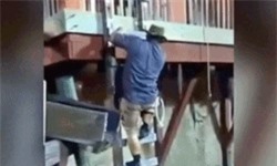 Clip: 'Khiếp vía' cảnh người đàn ông rơi thẳng xuống bể đầy cá sấu đói