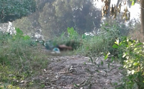 TPHCM: Nam thanh niên mặc áo tài xế GabBike nghi bị sát hại