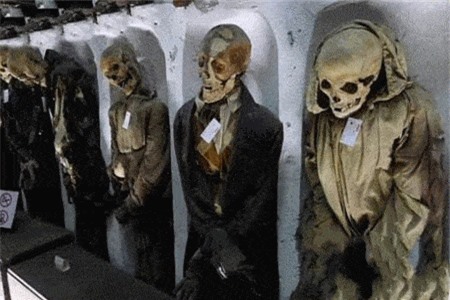 Clip hot (5/12): 2 ô tô đối đầu nhau trong hầm Hải Vân, buôn lậu 50 bộ xương người