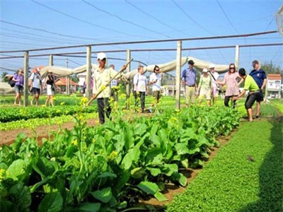 Hội An: Thí điểm tour du lịch sinh thái lấy cộng đồng làm chủ thể