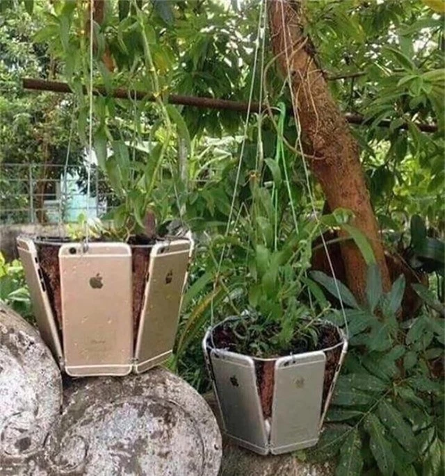 Một tá iPhone mới cứng được ghép thành chậu để trồng cây cảnh.