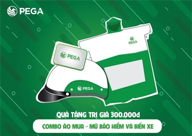 Pega bất ngờ giảm giá sốc hàng loạt xe điện tại Việt Nam - Ảnh 1.