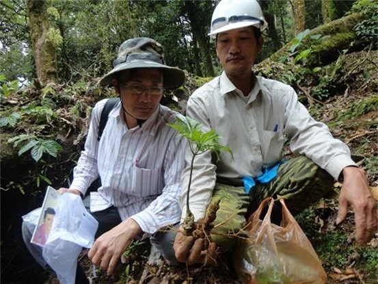 quang nam: loai cu xu xi, nho xiu ma hang thang “am” hon 4 ty dong hinh anh 1