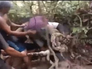 Clip: Kinh hoàng cảnh 6 người bắt con trăn dài 8m, nặng 100kg