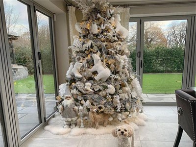 Sao tưng bừng chuẩn bị đón Giáng sinh