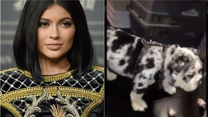 21 tuổi đã kiếm hàng ngàn tỷ đồng một năm, Kylie Jenner có cuộc sống sang chảnh và tài sản đáng ghen tị đến mức nào? - Ảnh 18.