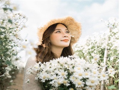 Nữ sinh Thương Mại tinh khôi bên cúc họa mi làm bừng sáng cả mùa đông Hà Nội