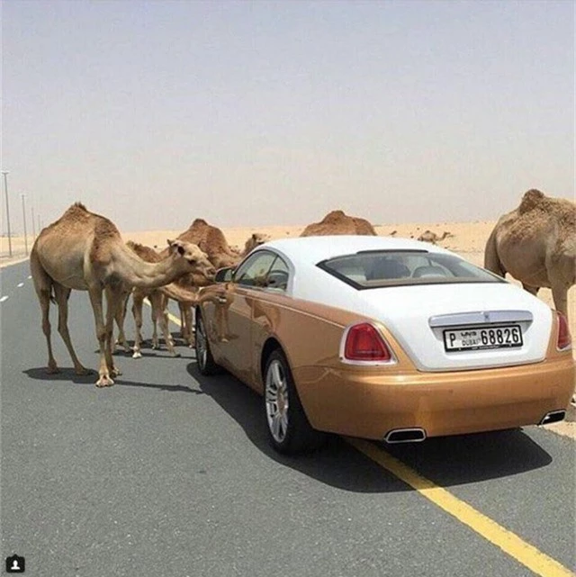  Một tài khoản đáng chú ý khác là “Hội con nhà giàu Dubai” 