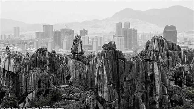  Carole Pariat đến từ nước Pháp chụp “rừng đá” nằm ở miền nam Trung Quốc. Phía xa là những tòa nhà cao tầng của đời sống hiện đại mọc lên, như một sự đối sánh giữa “tạo vật” văn minh của con người với tạo vật thâm u của thiên nhiên. 