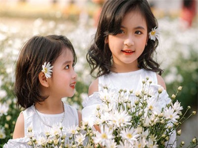 Hai 'thiên thần nhí' cực xinh nổi bật ở vườn cúc họa mi