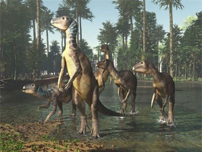 Khám phá ra loài khủng long mới tại Australia