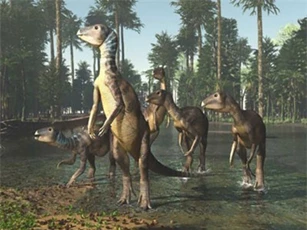 Khám phá ra loài khủng long mới tại Australia