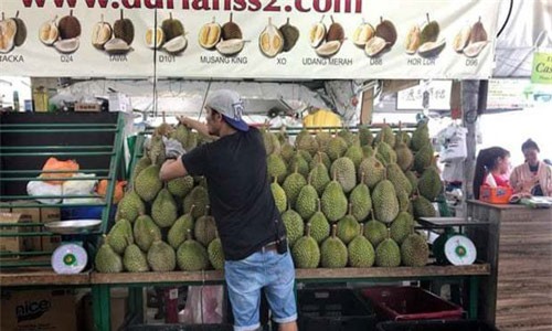 350 ngàn 1 múi sầu riêng: Xếp hàng tranh mua như iPhone X