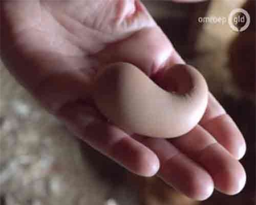 Quả trứng gà kỳ lạ, có hình dạng cực kỳ "quái gở"