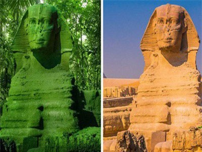 7 sự thật vô cùng khó tin về thế giới mà đến giờ chưa chắc bạn đã biết