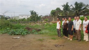 TP.HCM: Thu hồi đất giao cho doanh nghiệp làm dự án… chưa có