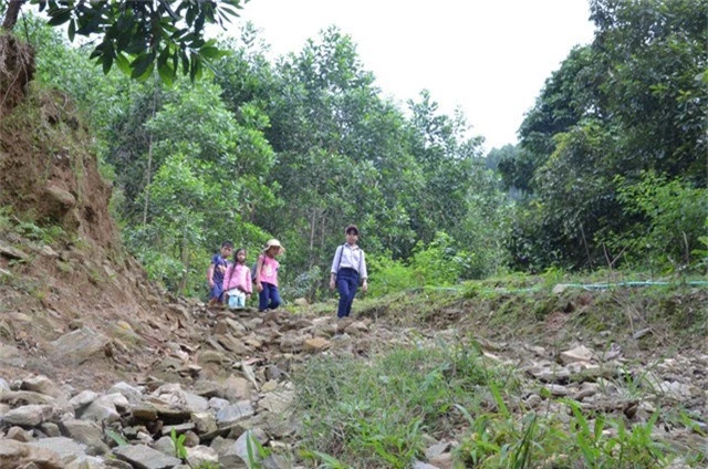 Học sinh các tổ Gò Lút, Vùng Khâm, Gò Xiêng phải mất nửa ngày trời vượt qua 14 km đường mòn để đến trường
