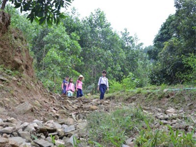 Quảng Ngãi: Không có đường, học sinh mất nửa ngày băng rừng đến trường