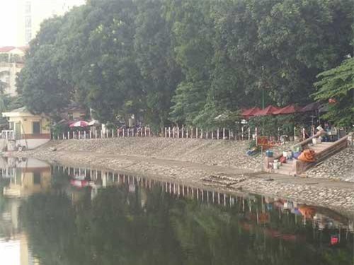 Hà Nội: Người đàn ông bị chó Pitbull tấn công phải nhập viện