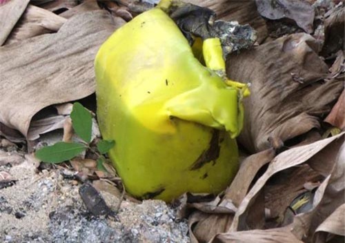 Hưng Yên: Mâu thuẫn với mẹ, con gái mua xăng về tự thiêu cùng mẹ