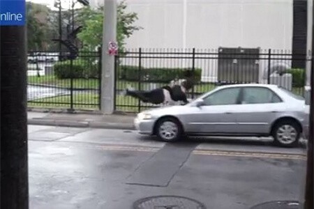 Clip: Chàng trai suýt bỏ mạng vì mải mê trượt ván