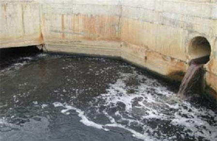 Lâm Đồng: Nhà máy xử lý rác xả nước thải gây ô nhiễm môi trường