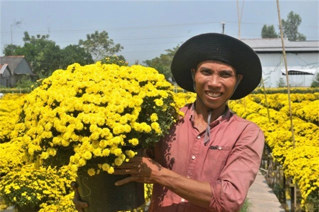 Lãnh đạo TP Sa Đéc cho biết, dịp tết Kỷ Hợi năm nay Làng hoa sẽ cung cấp ra thị trường từ 2,5 -3 triệu giỏ hoa các loại, trong đó nhiều nhất là cúc mâm xôi, vạn thọ...