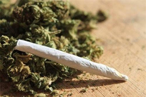 Cỏ Mỹ được vận chuyển bằng shipper công nghệ