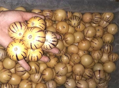 Bỏ quên nỗi lo hoa quả Trung Quốc, dân Việt tranh nhau mua ăn thử