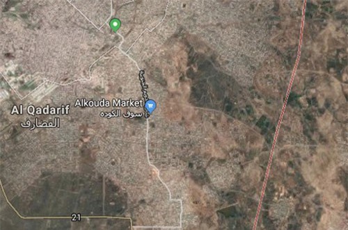 Tai nạn máy bay tại Sudan, nhiều quan chức thiệt mạng