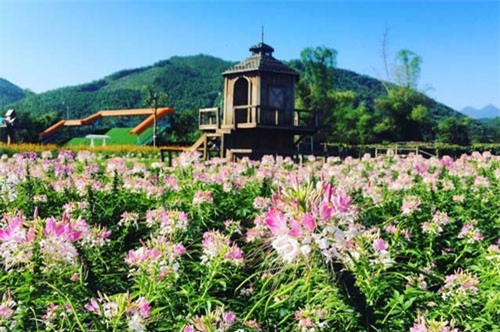 Giới trẻ Thái Nguyên thỏa sức "check-in" trong phim trường sống ảo