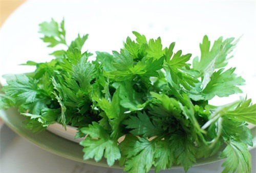 Clip: Những bài thuốc hay chữa bệnh xương khớp từ cây ngải cứu