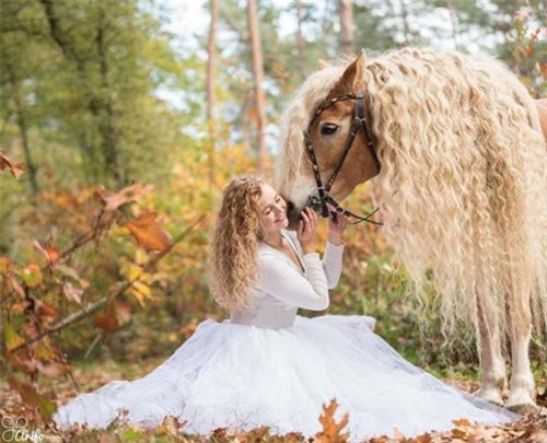Chú ngựa trở thành sao trên mạng xã hội nhờ có bờm đẹp như mái tóc nàng Rapunzel