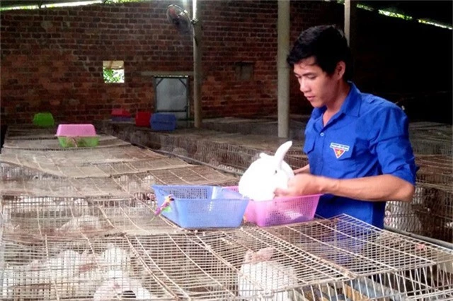  Mô hình chăn nuôi khép kín hiệu quả, trong đó có nuôi thỏ giúp anh Thành thu nhập cả trăm triệu đồng mỗi năm. Ảnh: Đ.S 