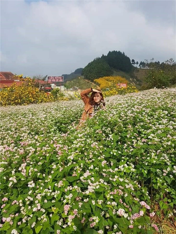 lac loi trong nhung sac hoa dai tren cao nguyen moc chau hinh anh 6